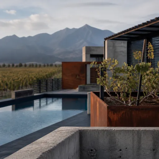 The Vines Mendoza: a refined wine country retreat in Uco Valley